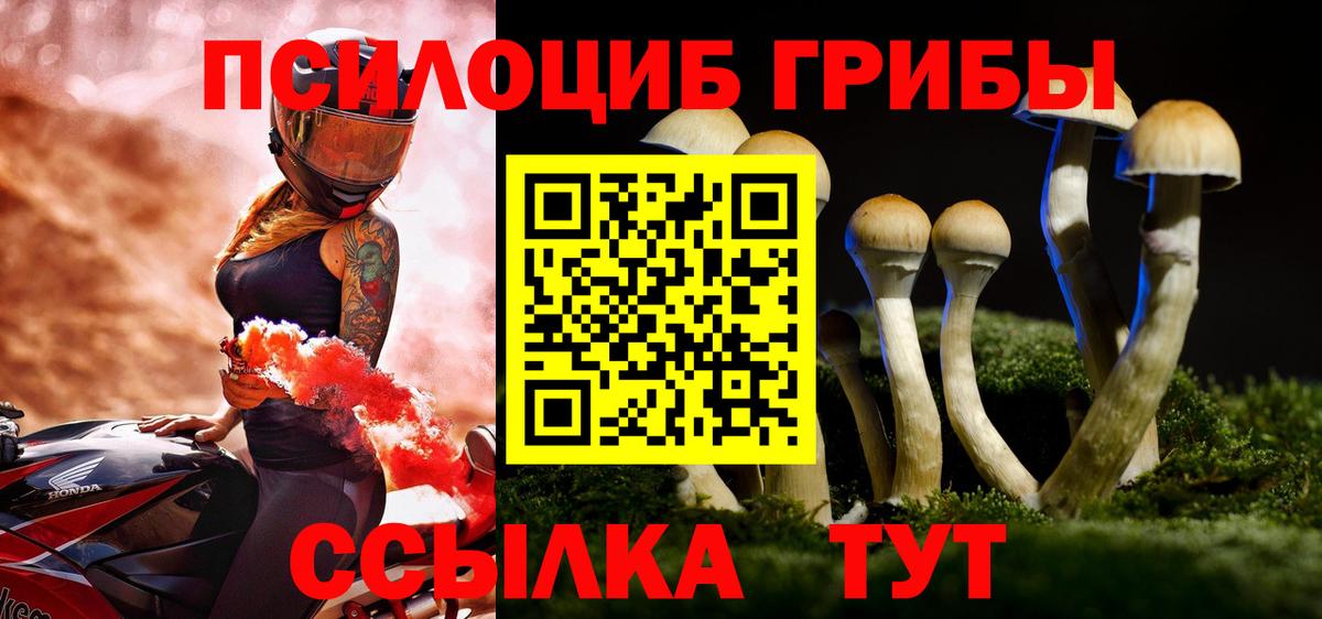 Псилоцибиновые грибы мицелий Серпухов